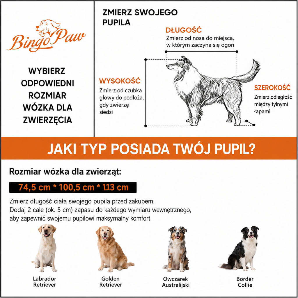 BingoPaw P-XL121-L – Wózek spacerowy dla dużych psów do 42 kg | Składany | Amortyzacja | Hamulce