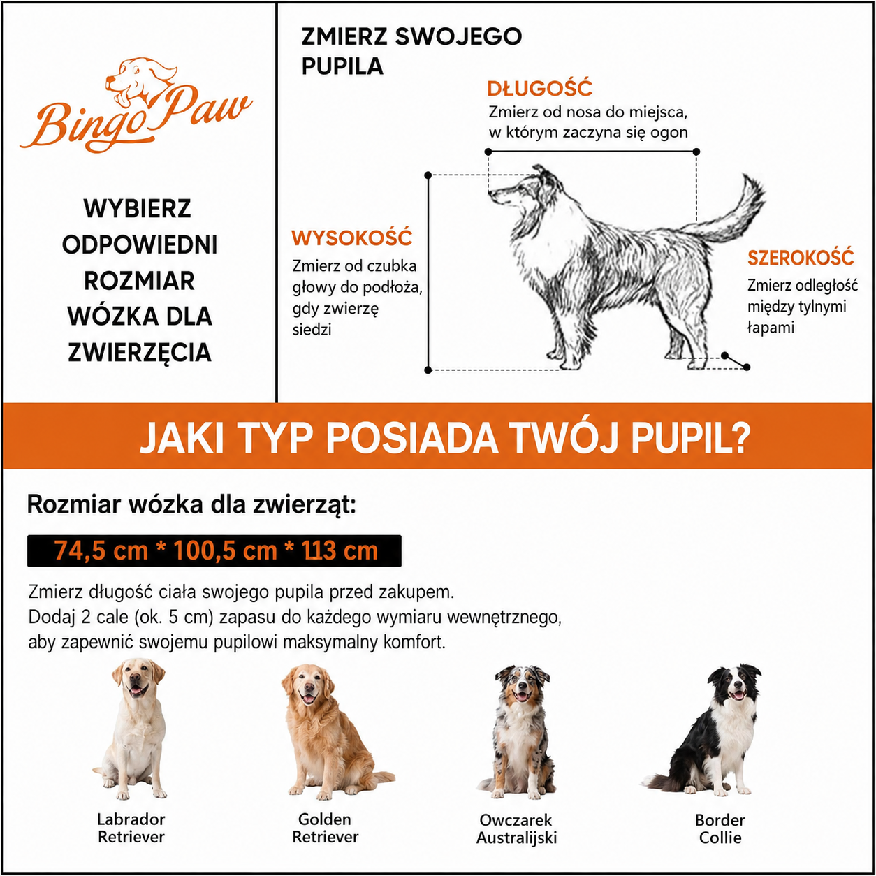BingoPaw P-XL121-L – Wózek spacerowy dla dużych psów do 42 kg | Składany | Amortyzacja | Hamulce